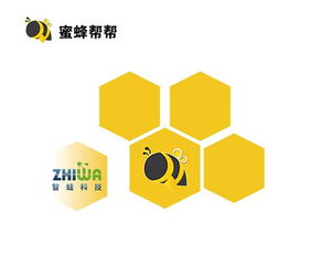 蜜蜂帮帮收购智蛙科技，腾讯11年资深员工为何选择加入计算机软硬件技术开发新舞台